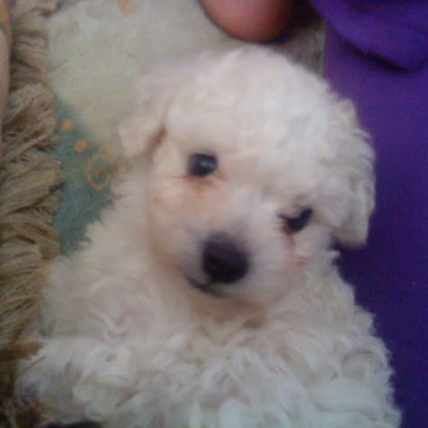 Jorge Valentin Photo 21