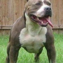 James Blalock Photo 33