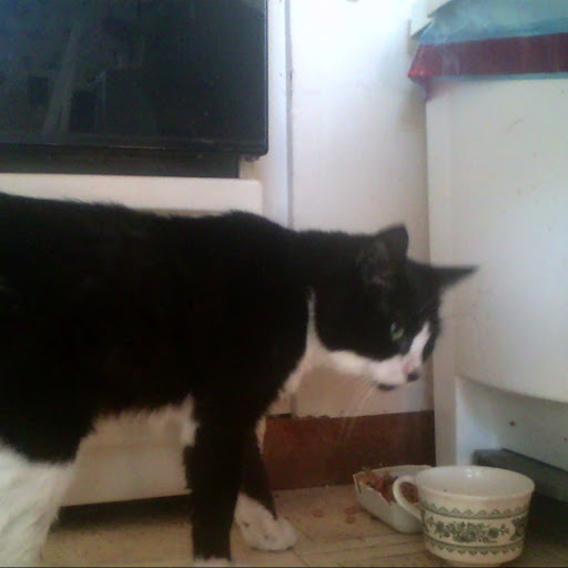 Curtis Richards Photo 14