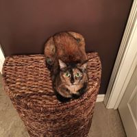 Sarah Moody Photo 14 Sarah Moody Photo 14