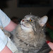 Elizabeth Godfrey Photo 13