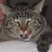 Larry Franks Photo 25