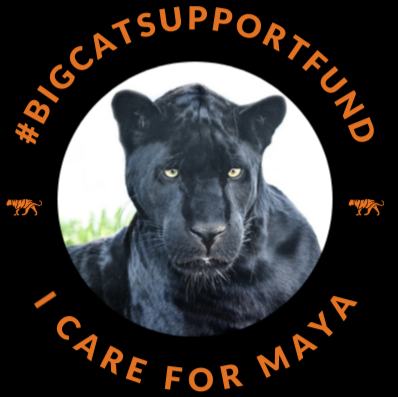 Sharon Woolf Photo 21