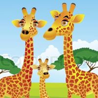 Debby Maynard Photo 3