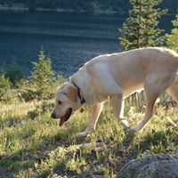 Linda Enright Photo 15