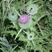 Cathy Shelton Photo 9