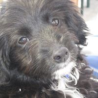 Peggy Potts Photo 19