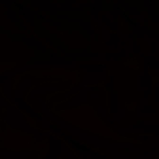 Shane Hunter Photo 31