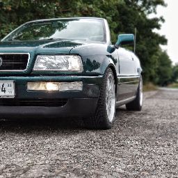 Dustin Springer Photo 12