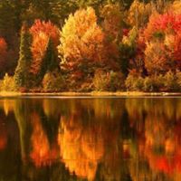 Sandy Delorenzo Photo 2