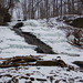 Stephanie Winters Photo 8