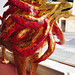 Deborah Keller Photo 13