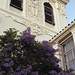 Joseph Bloom Photo 33