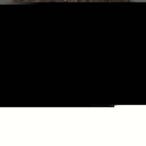 Stephanie Small Photo 20