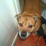 Kathleen Brodie Photo 8