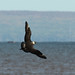 Douglas Jaeger Photo 9