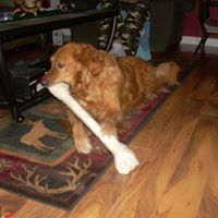 David Sterling Photo 32 David Sterling Photo 32