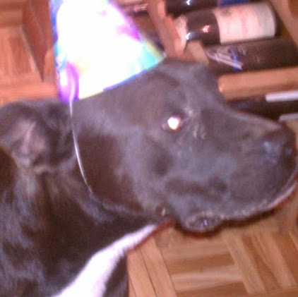 Earl Dunlap Photo 17