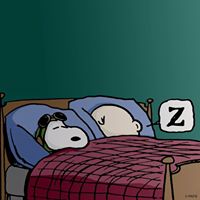 Phillip Mullis Photo 15