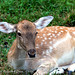 Xiang Jiang Photo 19