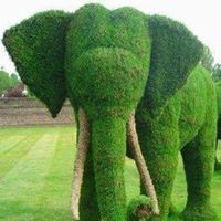 Alan Daugherty Photo 9