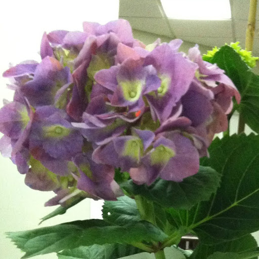 Judy Morgan Photo 28