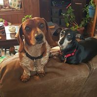 Vanessa Watkins Photo 12