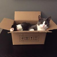 Sarah Hirsch Photo 32