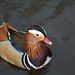 Martin Drake Photo 10