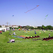 Robert Comte Photo 4
