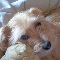 Allison Larsen Photo 18