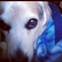 Leesa Reynolds Photo 2