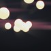 Phillip Rapp Photo 5
