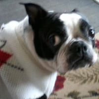 Janet Harker Photo 4