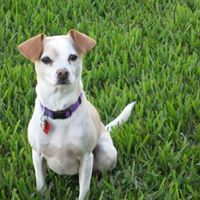 Debra Meyer Photo 13