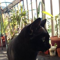 Michele Dunbar Photo 26