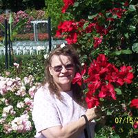 Darlene Wolfe Photo 29