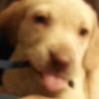 Charles Wiley Photo 11