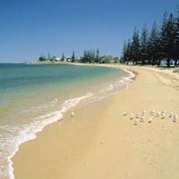 Stephen Harley Photo 10
