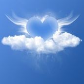 Cheryl Fournier Photo 12