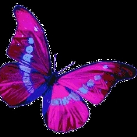 Angela Salazar Photo 25