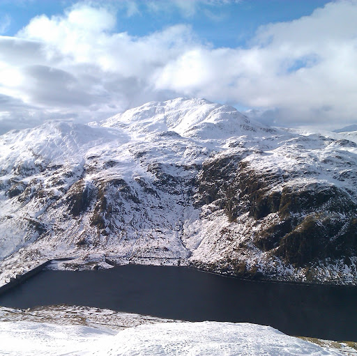 Stephen Riddell Photo 11