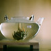 John Bloom Photo 36