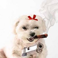 Tracy Tripp Photo 12