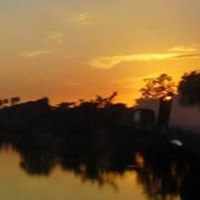 Joan Stephenson Photo 12