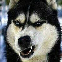 Steven Land Photo 12