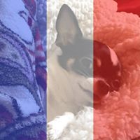 Cindy Keating Photo 10