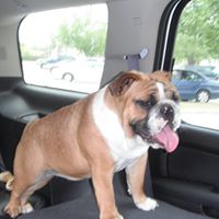 Michael Sellers Photo 37