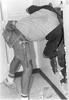 Jerry Myers Photo 5