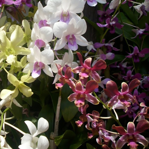 Carly Rogers Photo 9